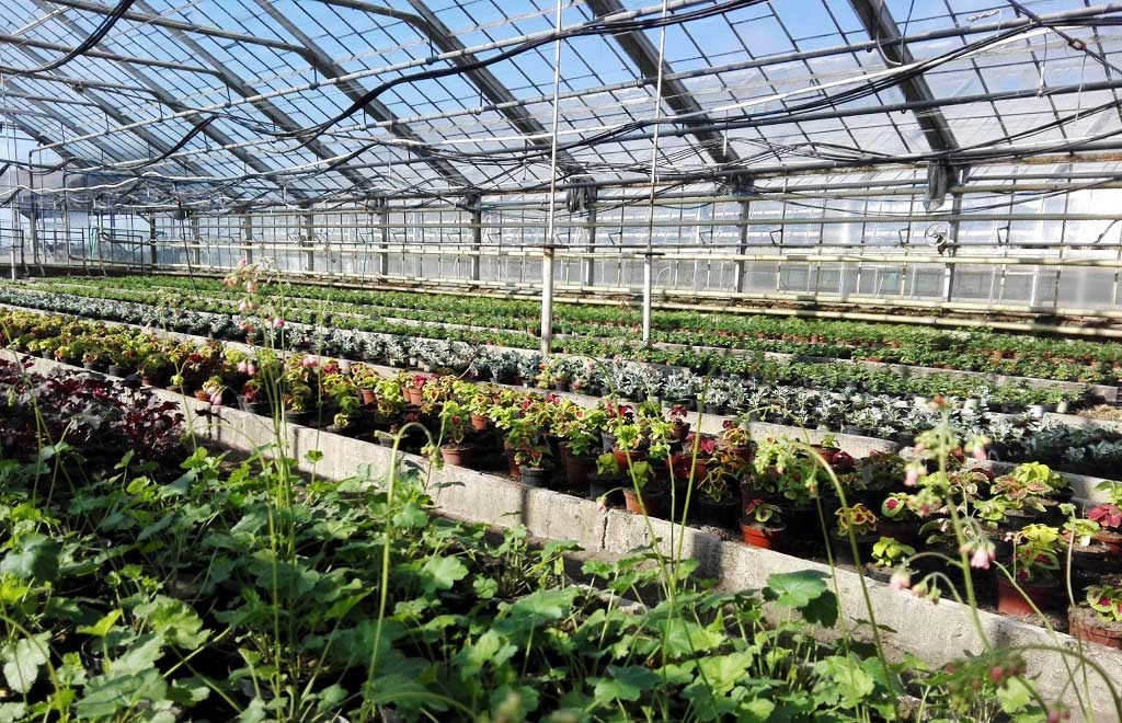 Szklarnia dydaktyczna